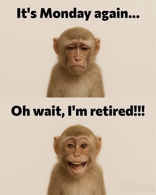 retired.jpg
