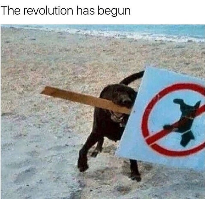 revolution.jpg