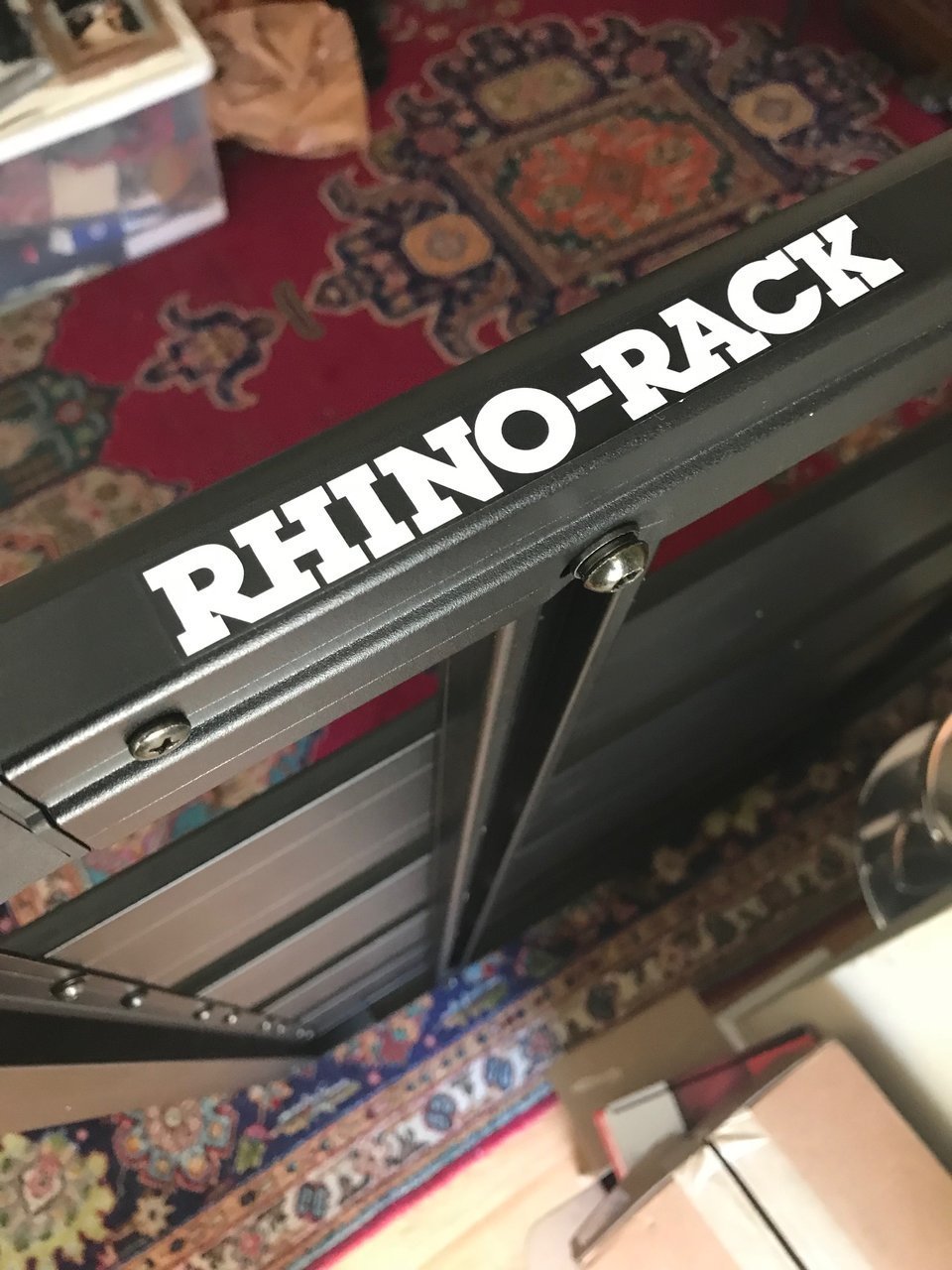 RHINO3.jpg