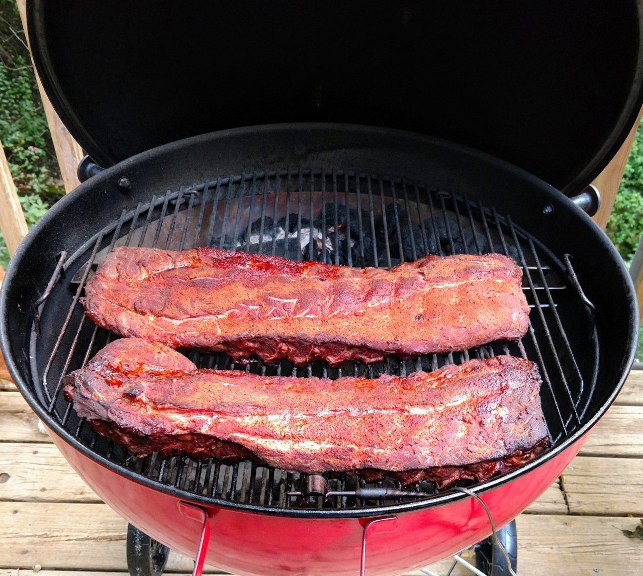 Ribs Bark.jpg