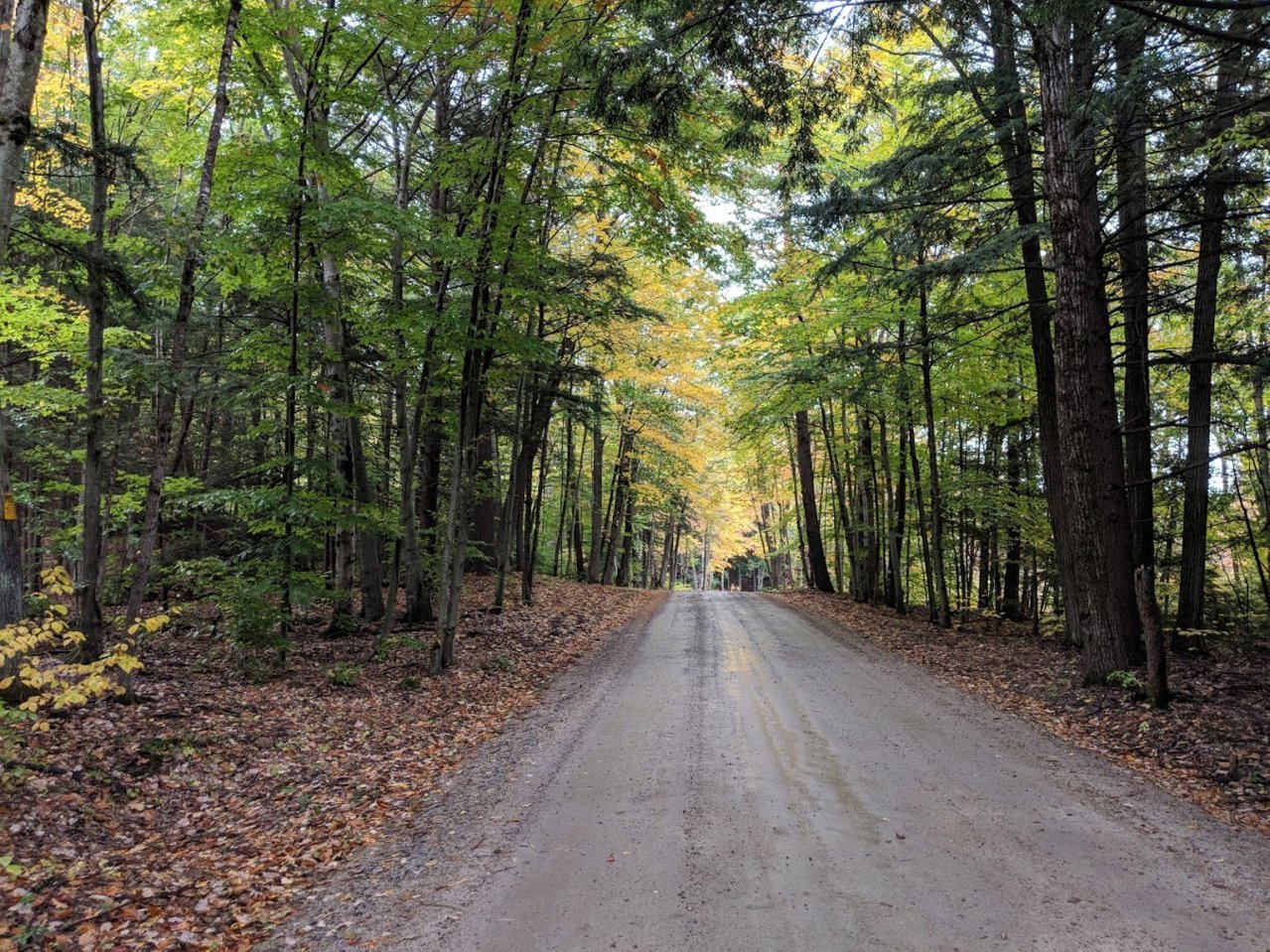 ride 2.jpg