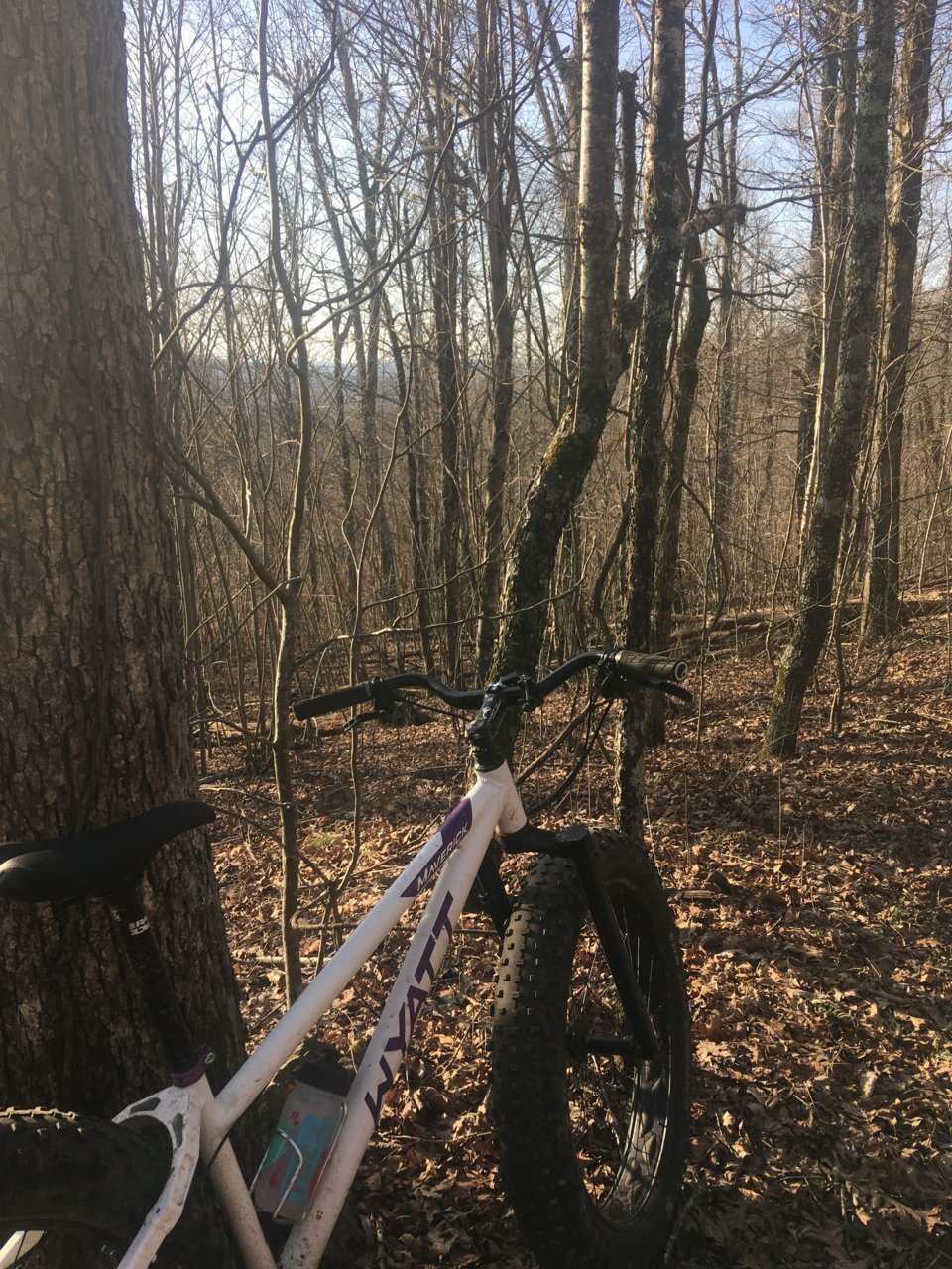 ride.jpg