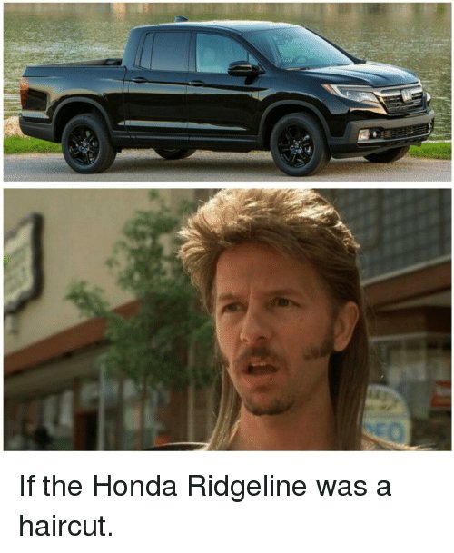 ridgeline.jpg