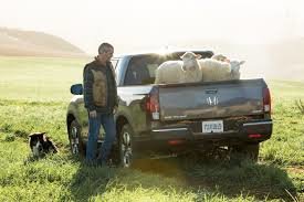 Ridgeline sheep.jpg