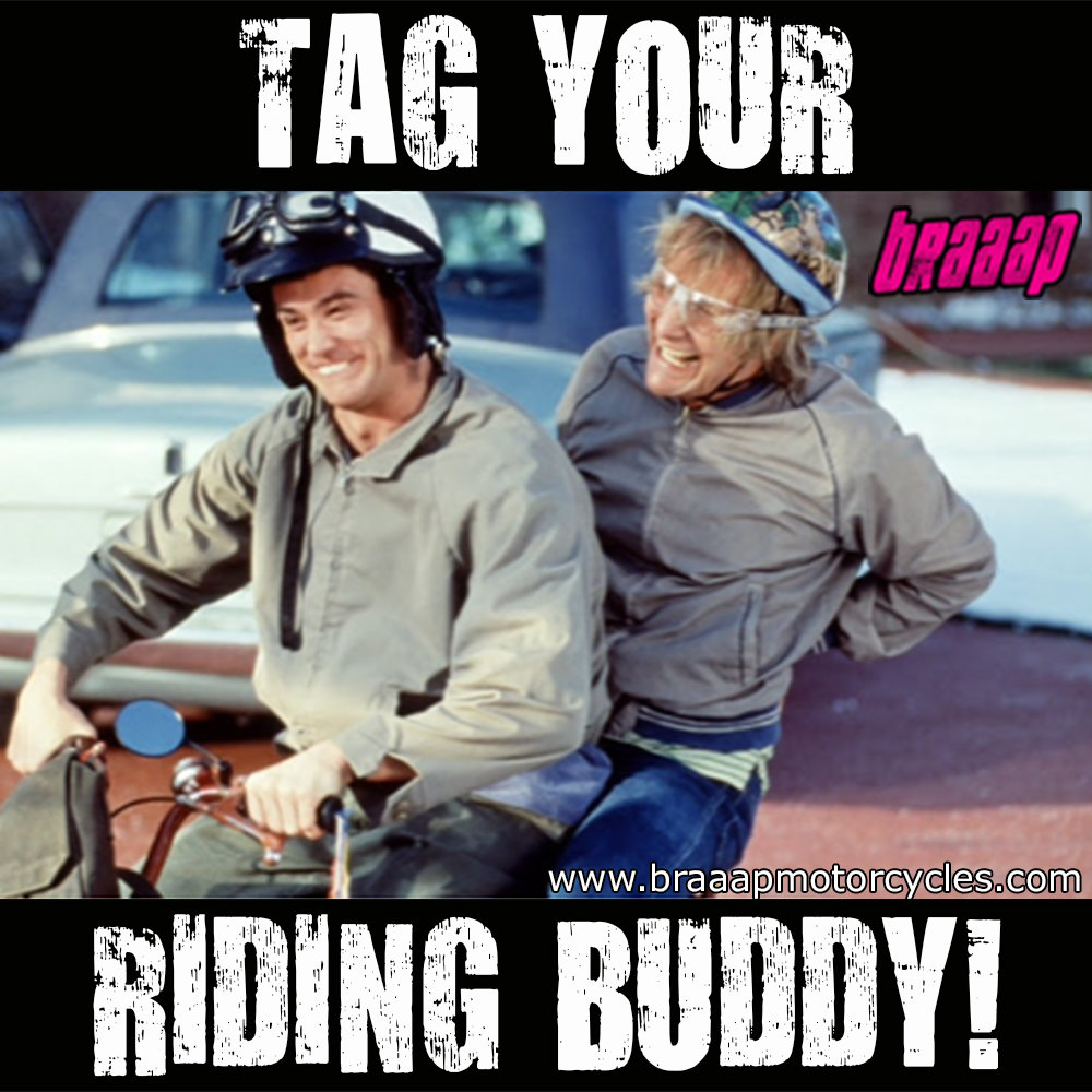 riding_buddy.jpg