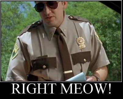 right meow.jpg