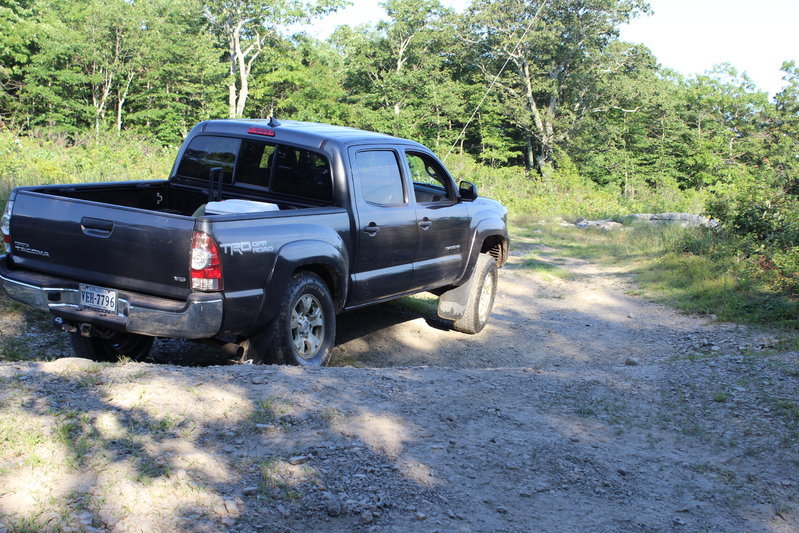 Right Rear Stuffed.jpg