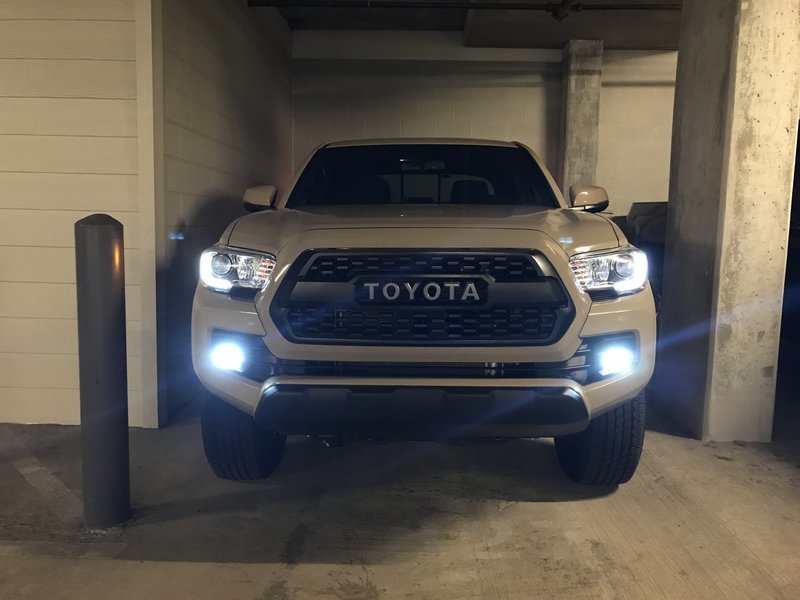 rigid 1.jpg