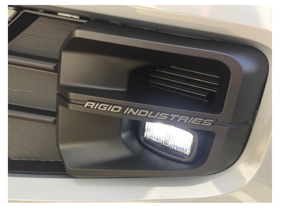 rigid fogs 1.jpg