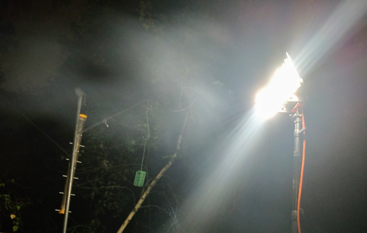 rigid led light.jpg