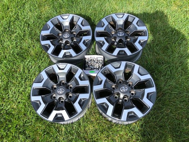 Rim 2.jpg