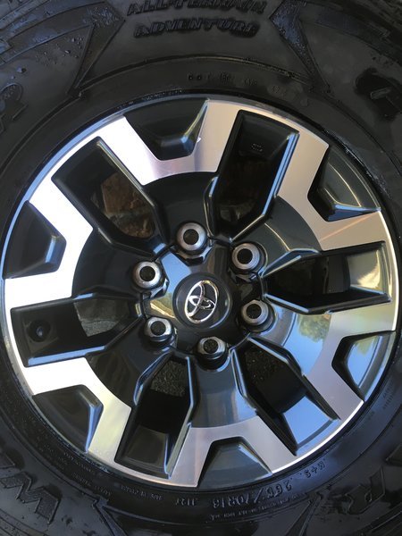 Rim.jpg