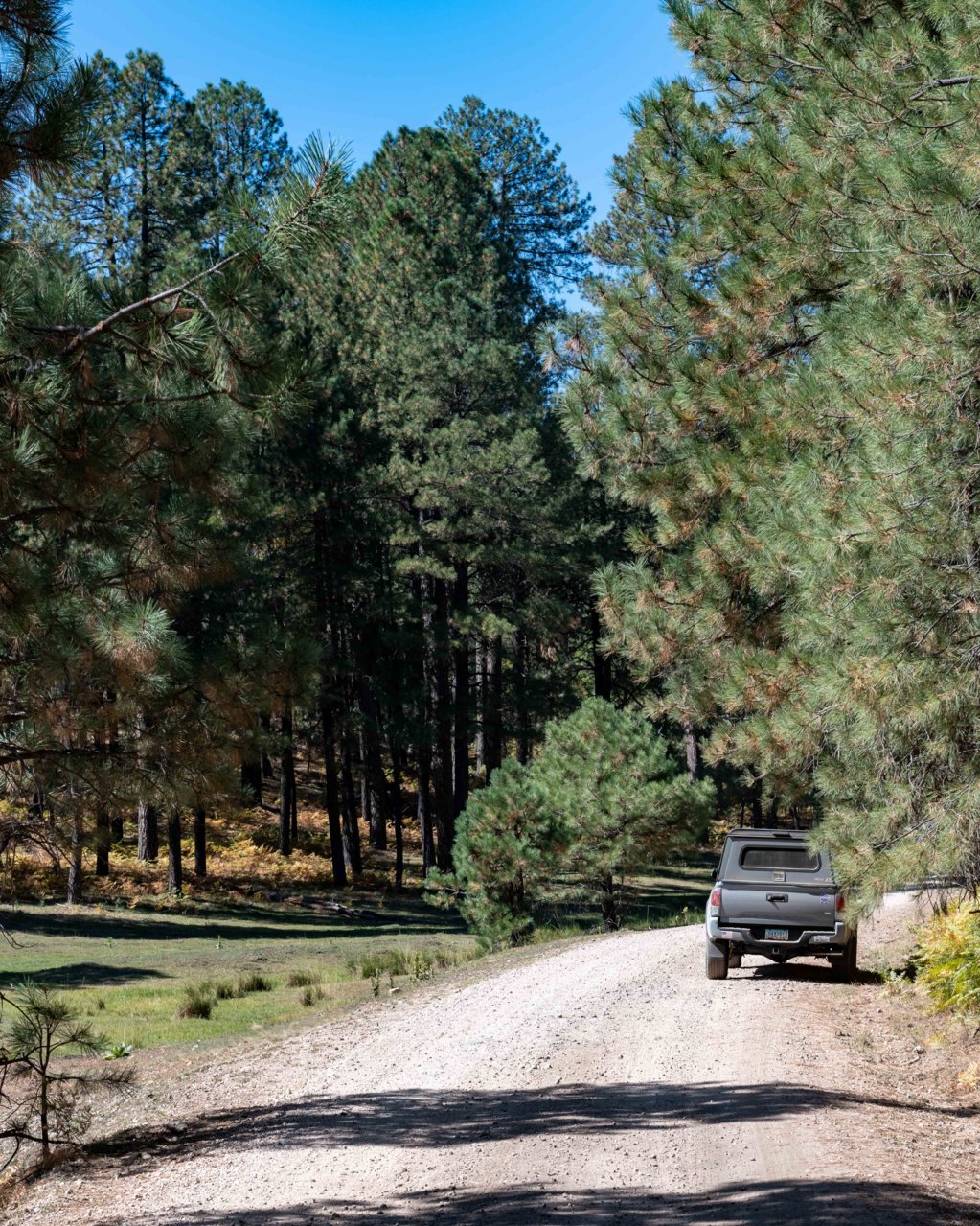 Rim Road Mogollon Rim-1.jpg