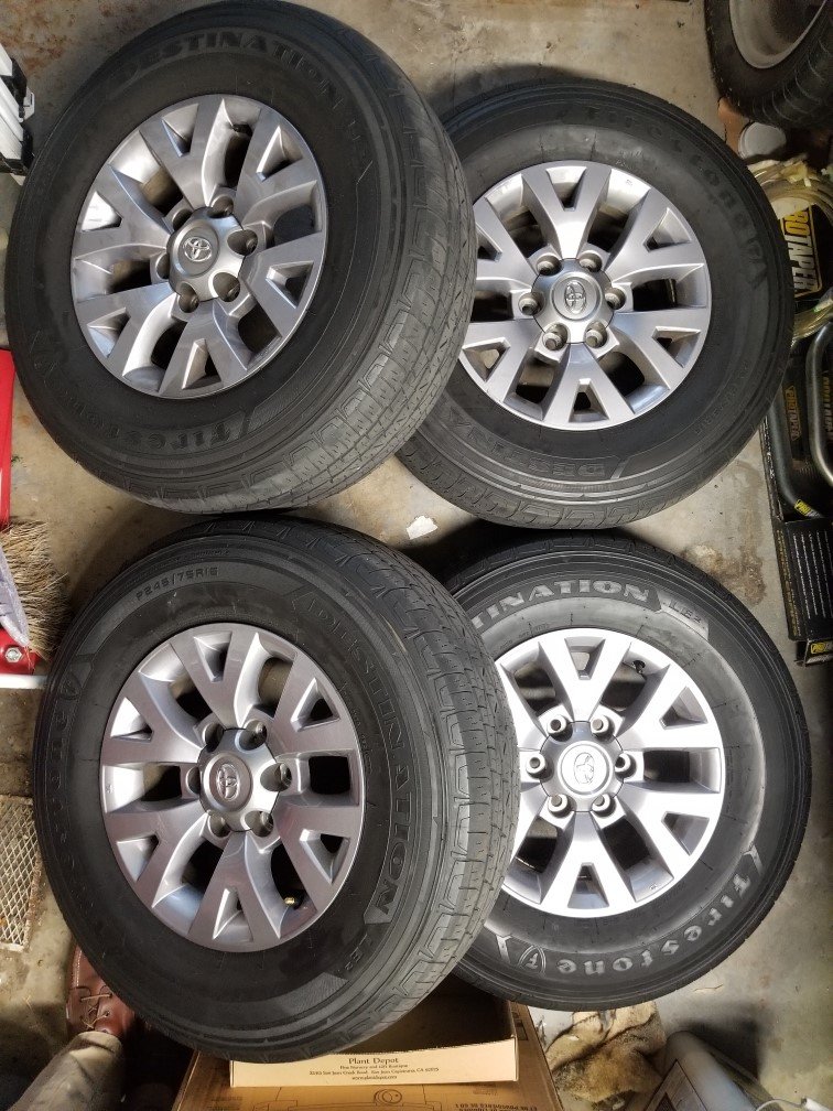 rim1.jpg