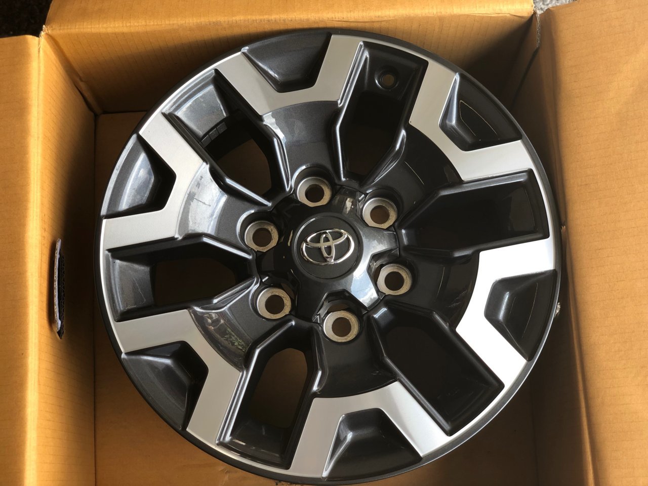 rim2.jpg