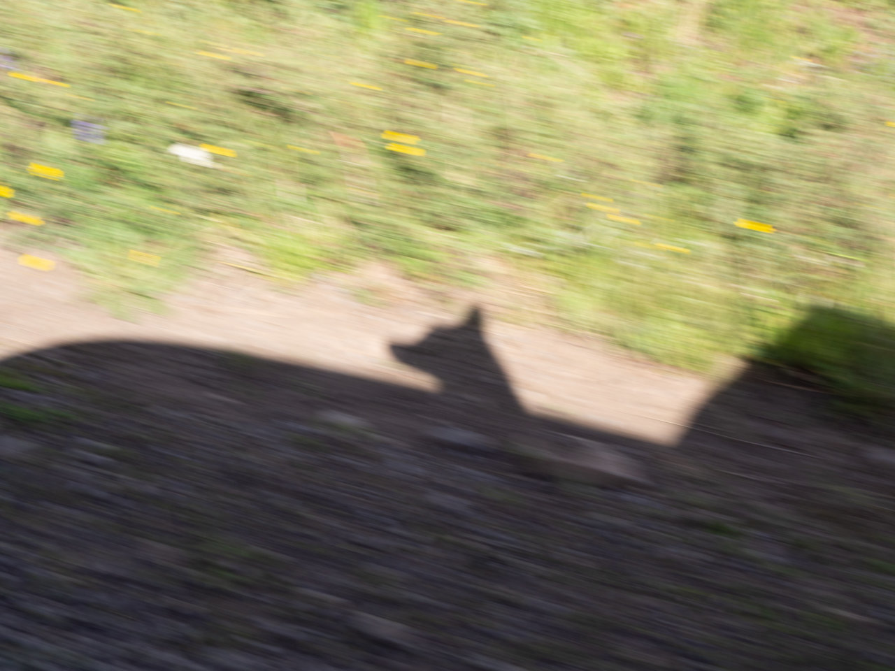 Rim2020Shadow-008.jpg