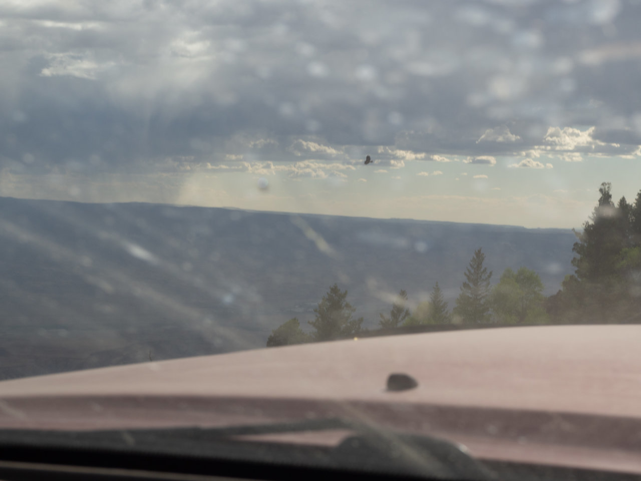 Rim2020Shadow-019.jpg