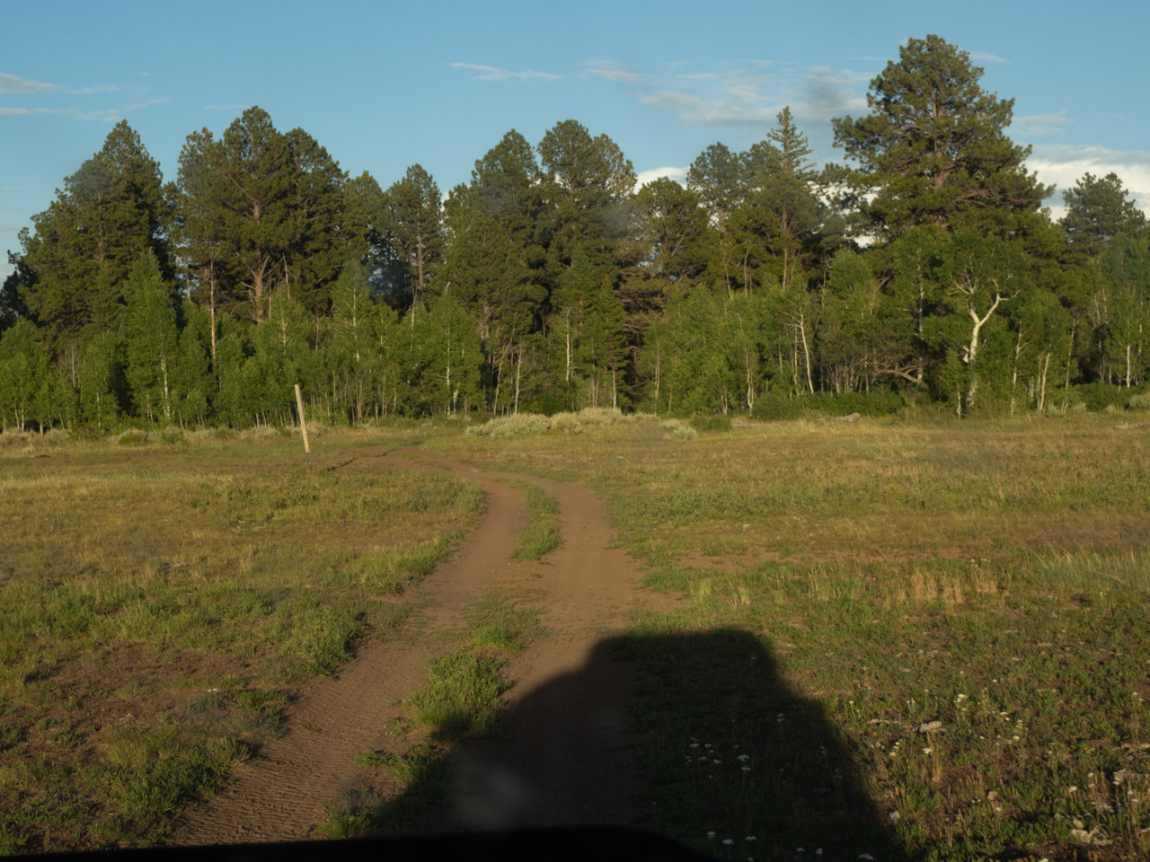 Rim2020Shadow-232.jpg