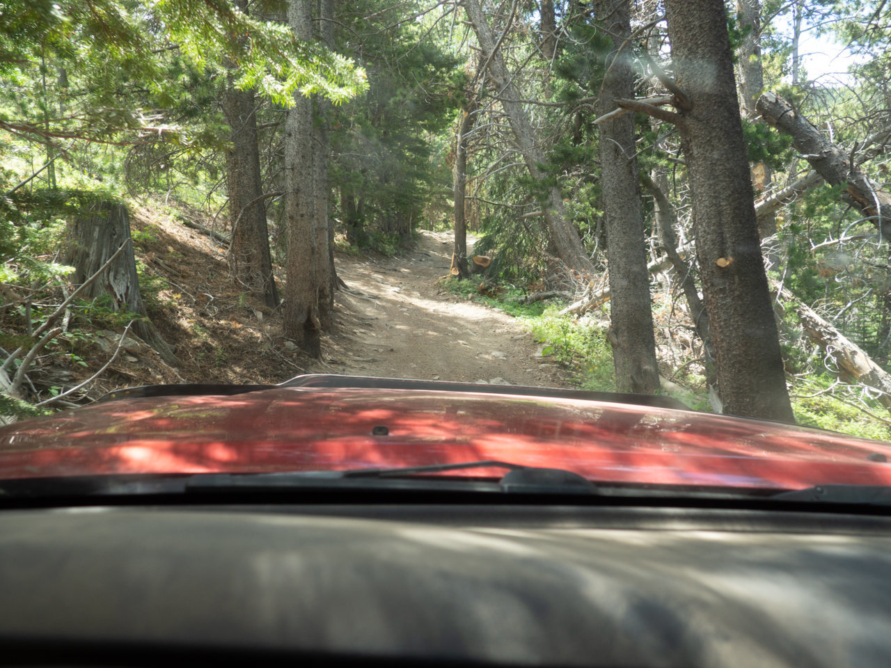 Rim2020Shadow-71.jpg