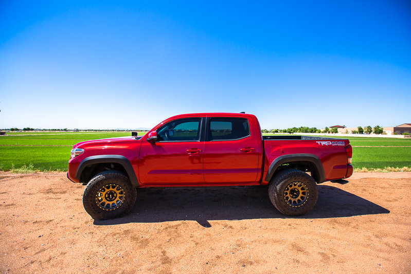 rims-1.jpg