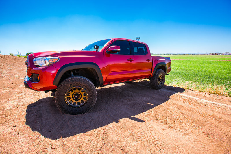 rims-2.jpg