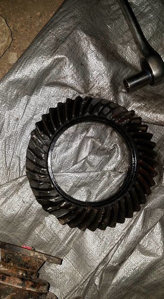 ring.jpg
