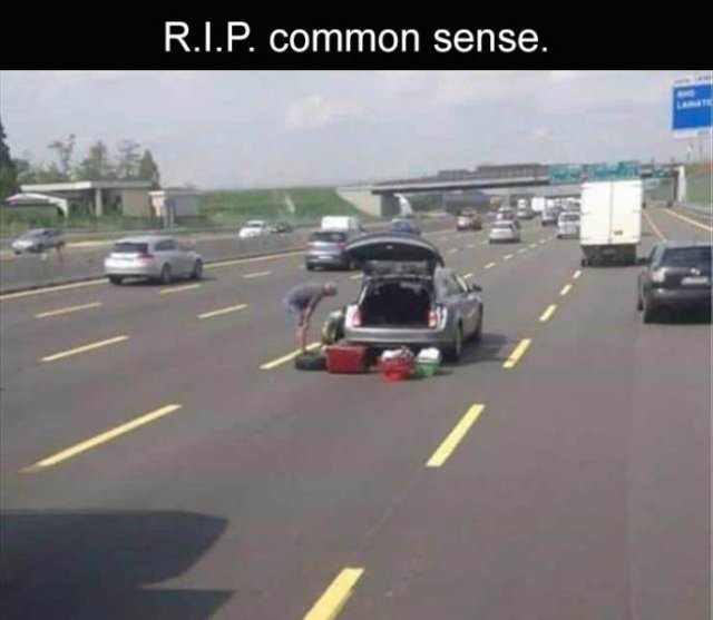 RIP-common-sense.jpg