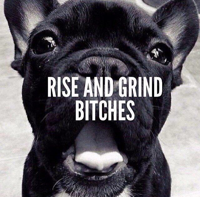Rise%20And%20Grind_2ae7d67fb6b914cb853156daf2dc67381d9b4d90.jpg