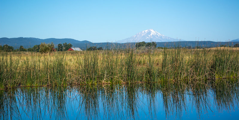river-shasta.jpg