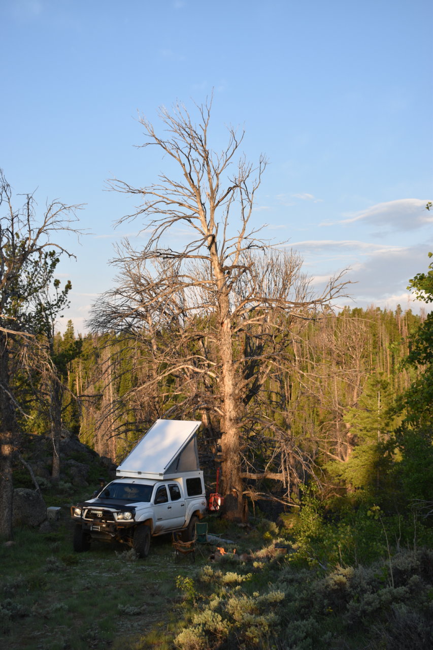RLG_0121.jpg