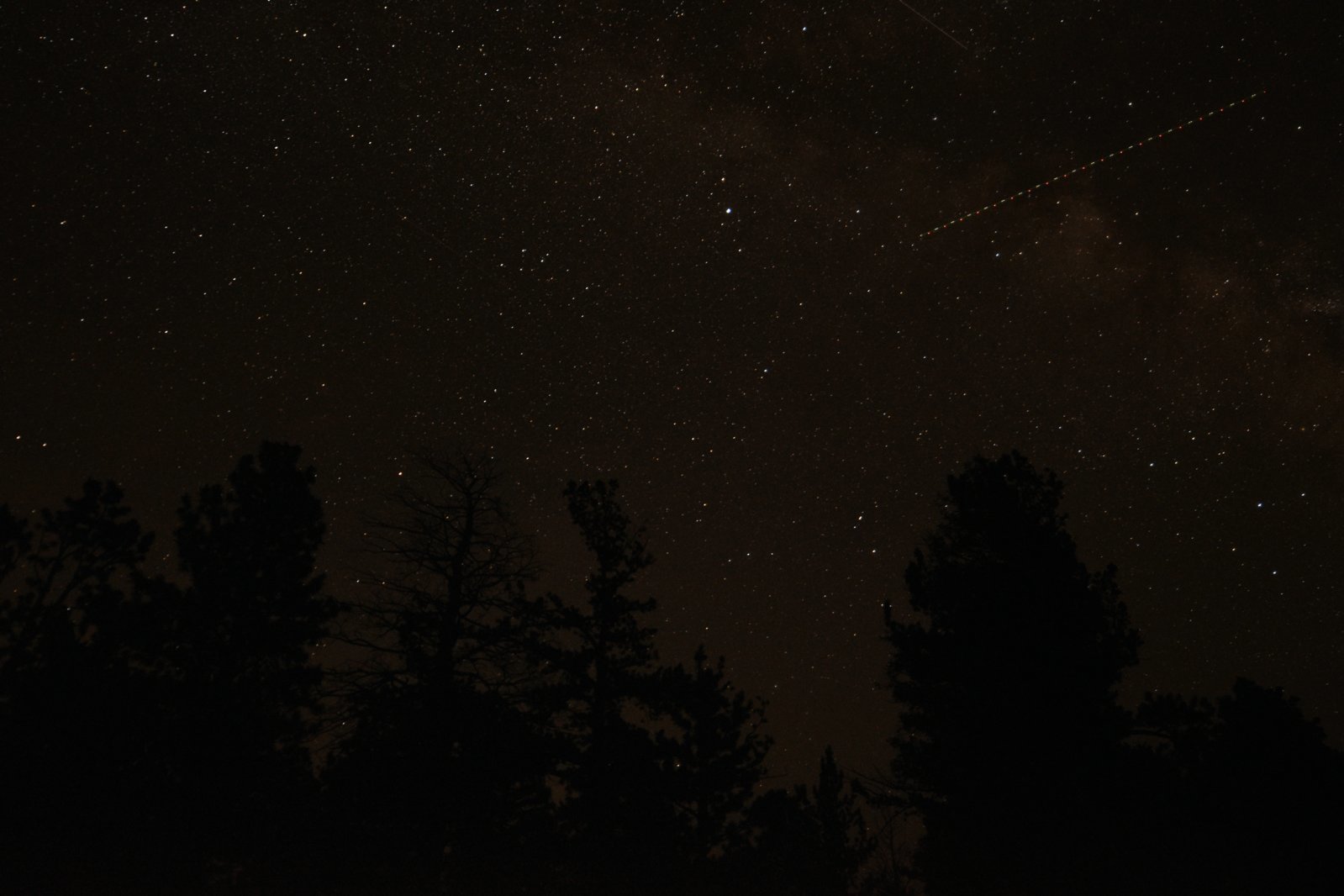 RLG_0445.jpg