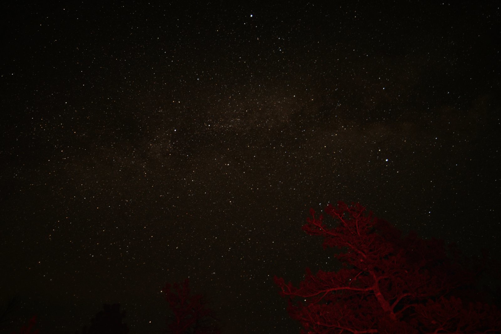 RLG_0454.jpg