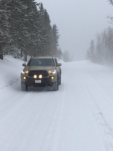 RMNP Tacoma.jpg