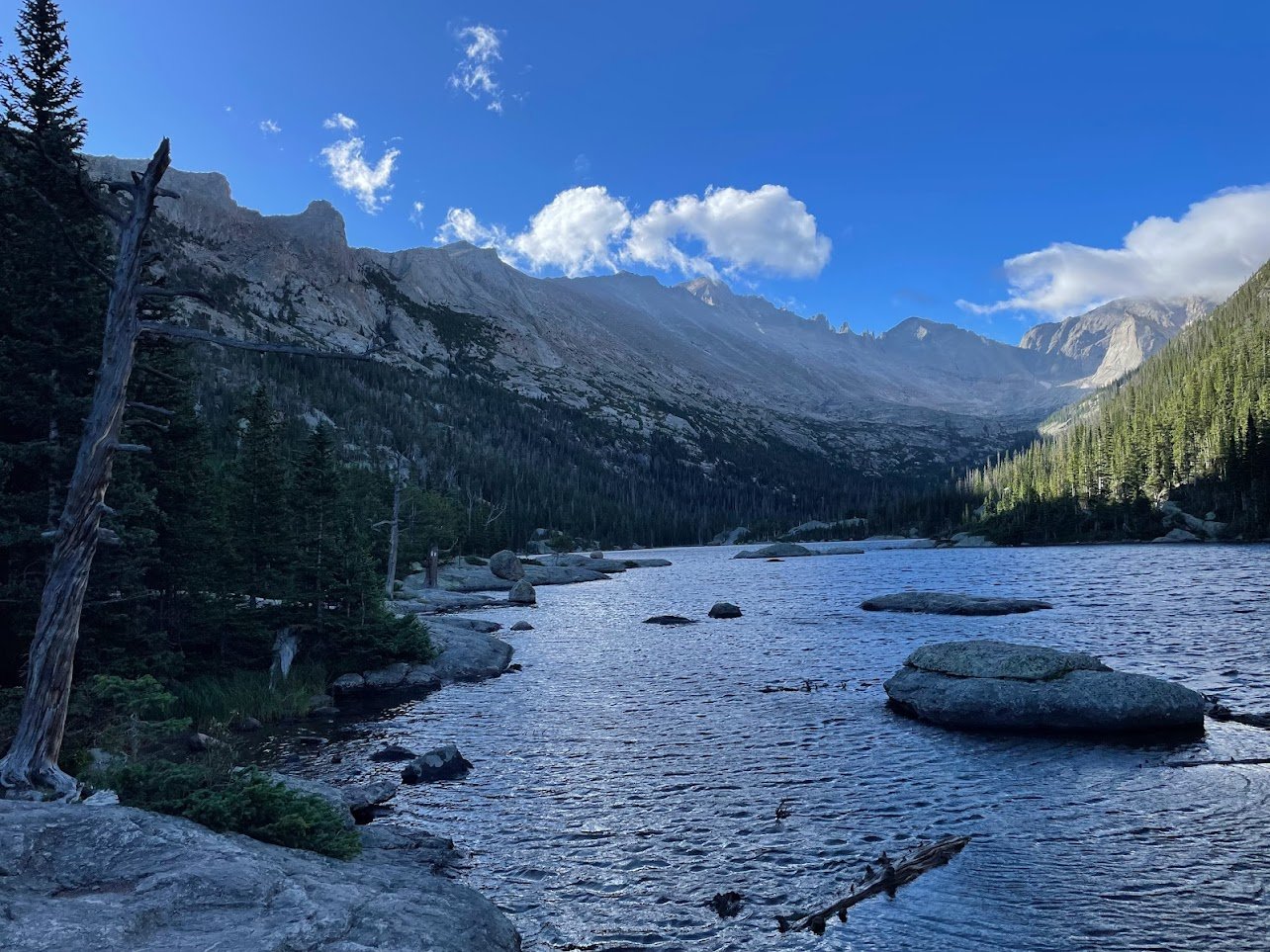 rmnp2.jpg