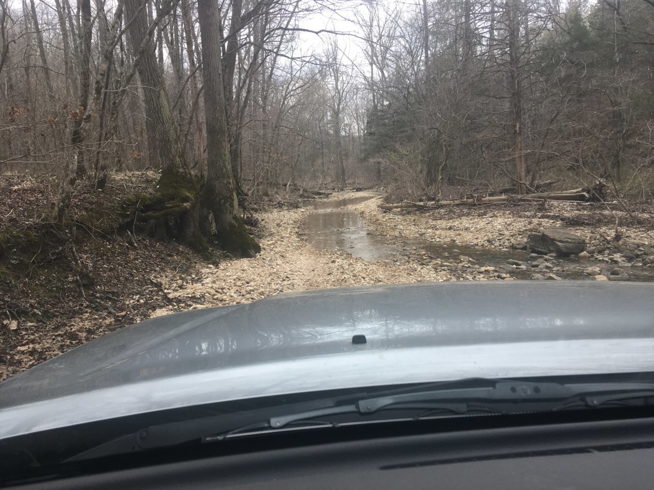 Road creek.jpg