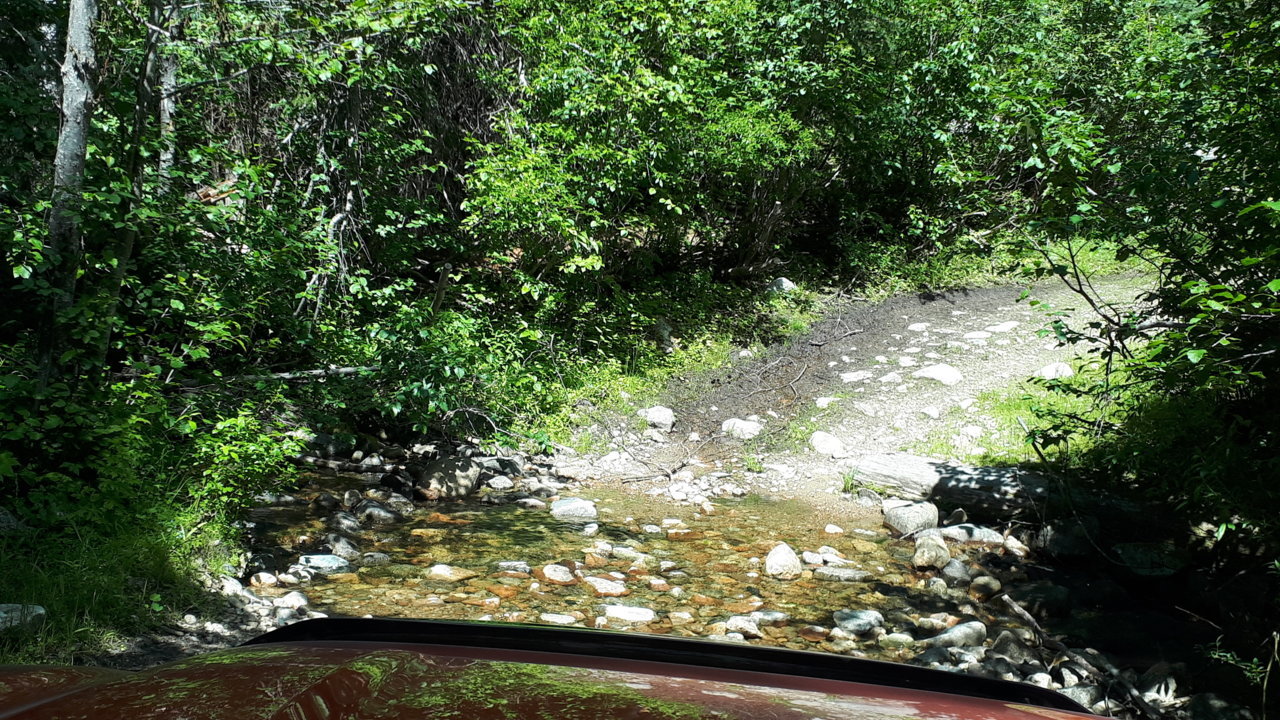 road-creek.jpg