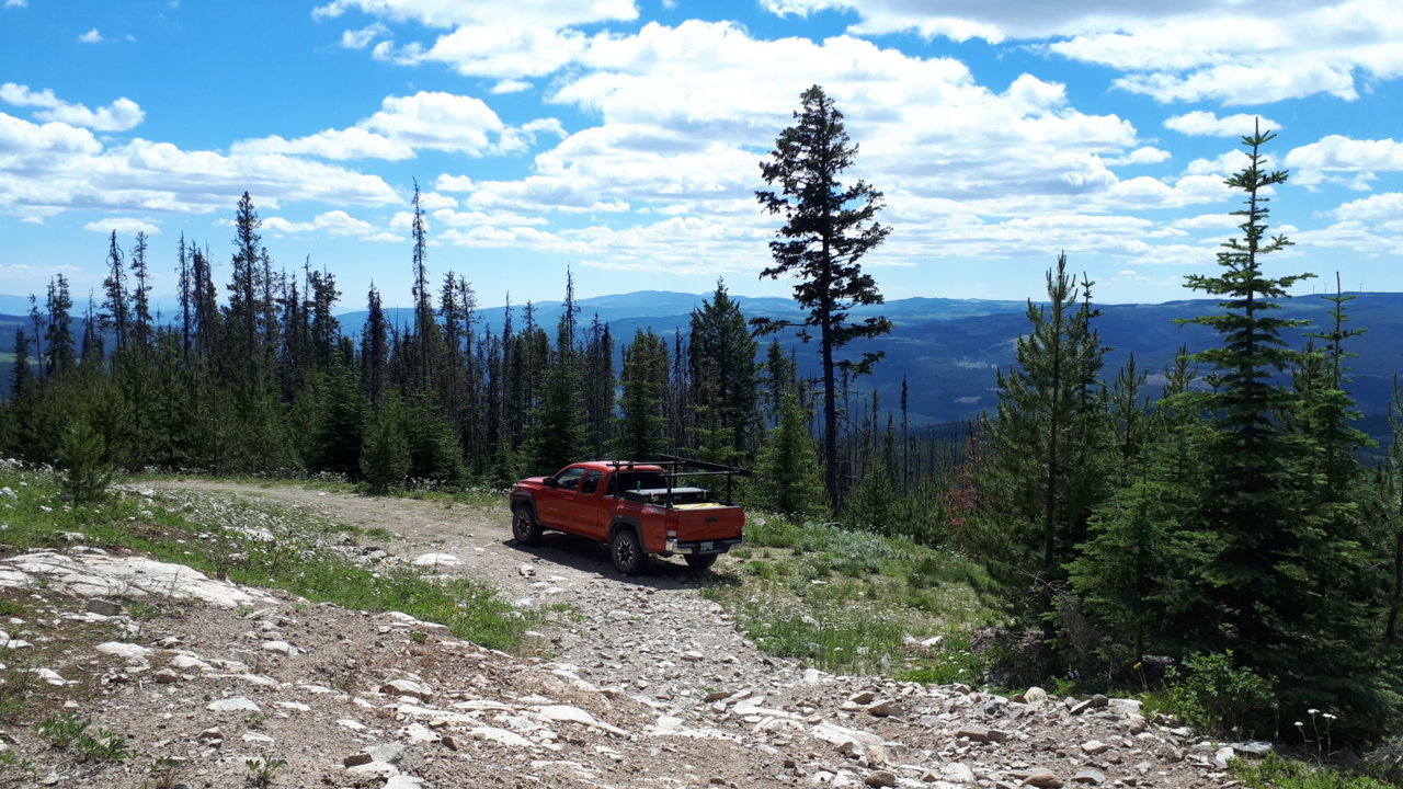 road-top.jpg