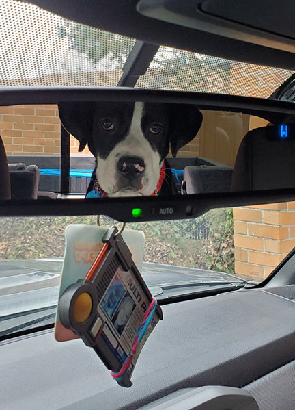 Road Trip.jpg