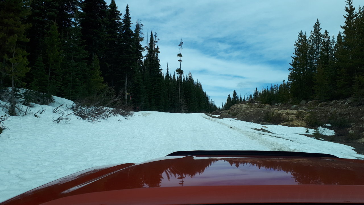 road-up-snow.jpg