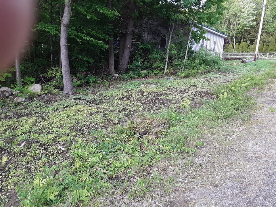 roadside 3.jpg