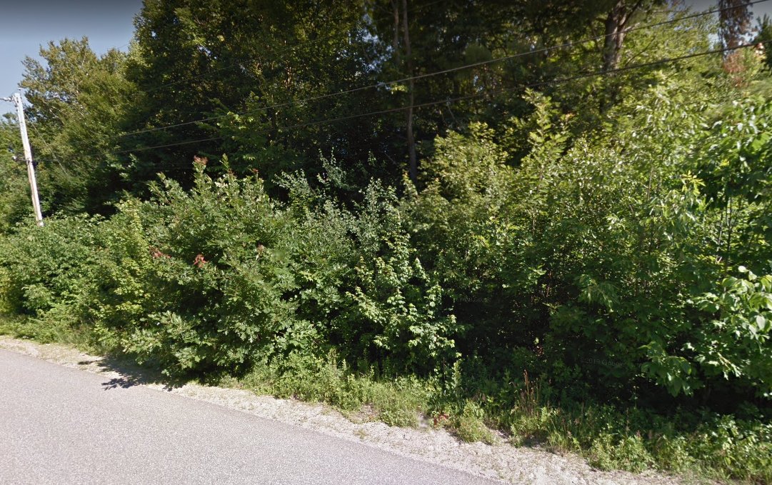 roadside.jpg