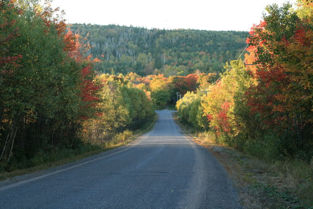 roadtofall_1da4ea923b9d3bfb5fcf5e65130d477730b526b1.jpg