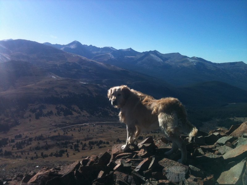 Rocco Boreas Pass.jpg