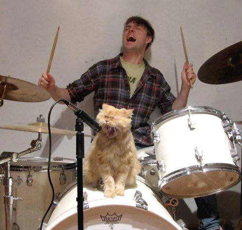 rock-cat_33a66a19bb5273ad74011c0b3a12443f11c6f6d3.jpg
