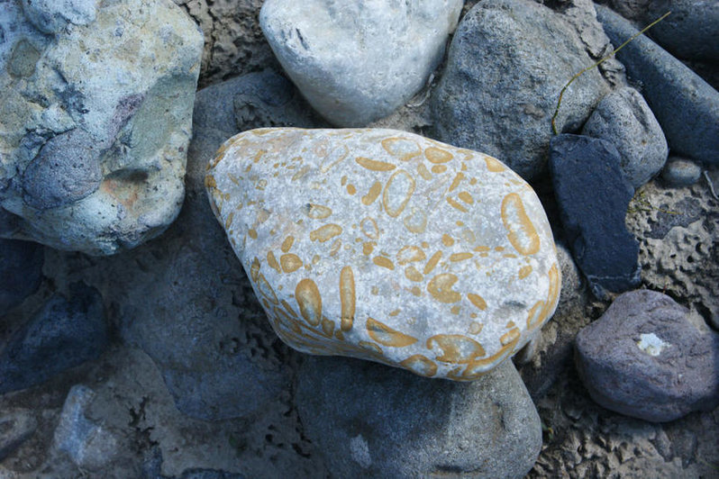 rock.jpg