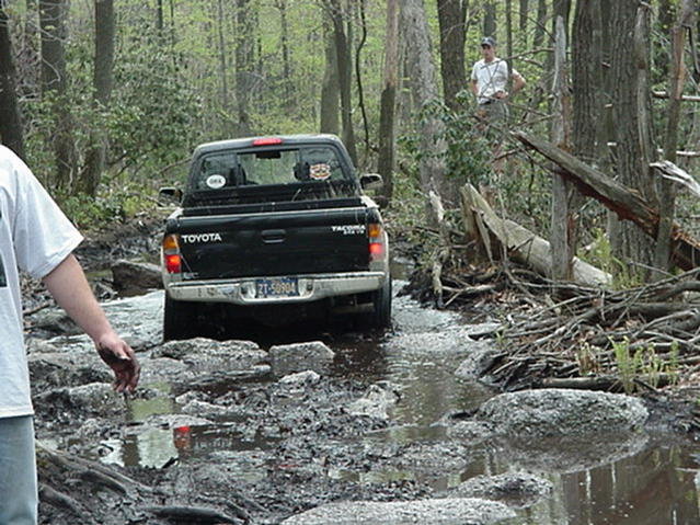 Rock Swamp8.jpg