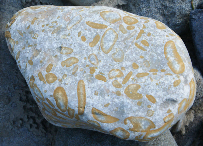 rock2.jpg
