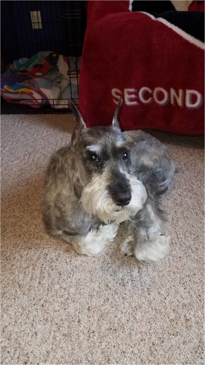 Rocko.jpg