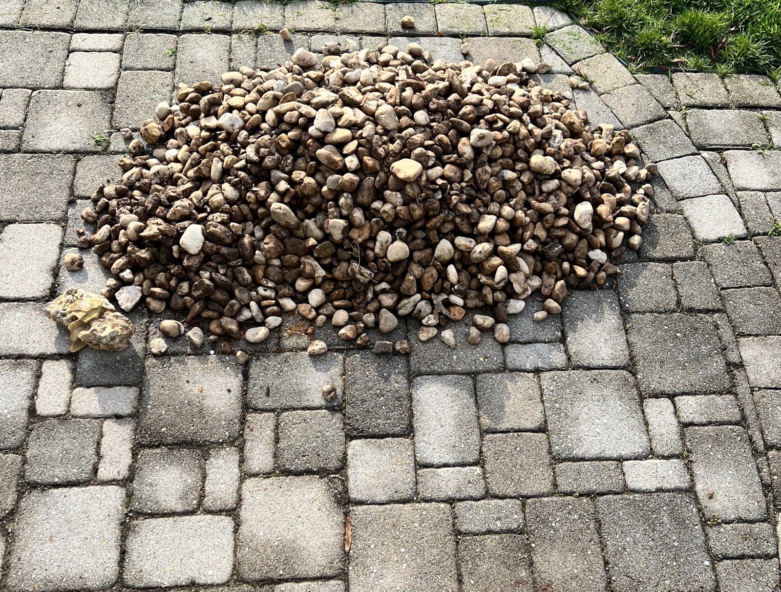 Rocks.jpg