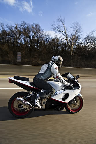 rollin_20b987a6a2a1ea7ffe7fba47249bb386b2549c71.jpg